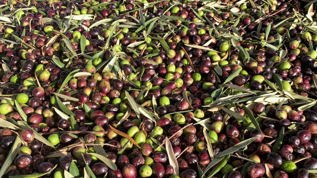 Aceite picante para pizzas