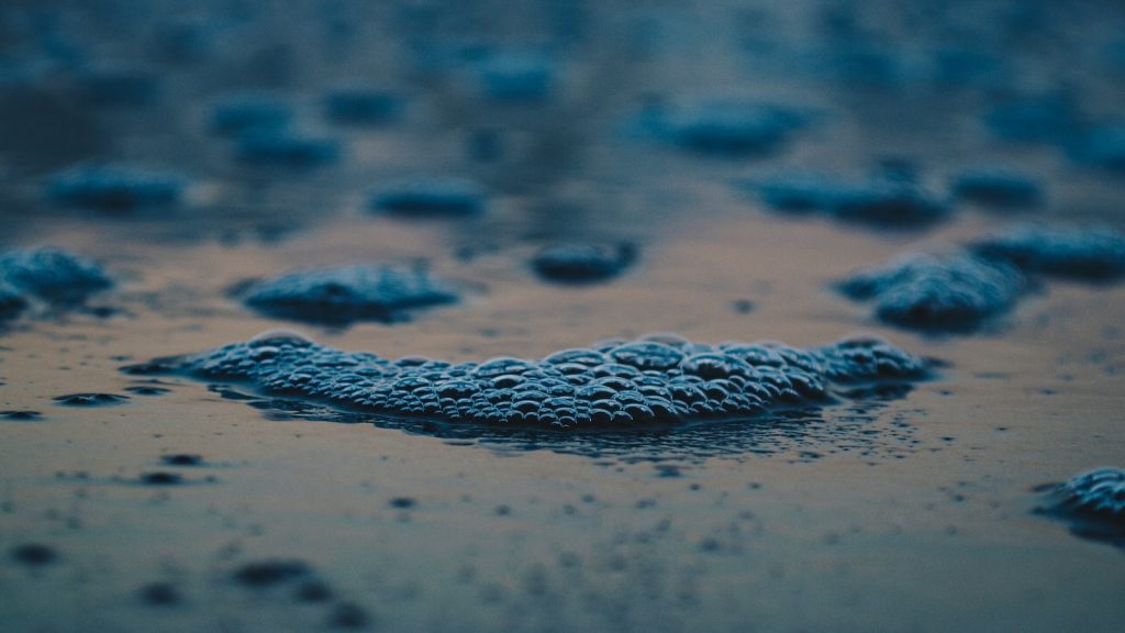 Crema de cacahuete ingredientes