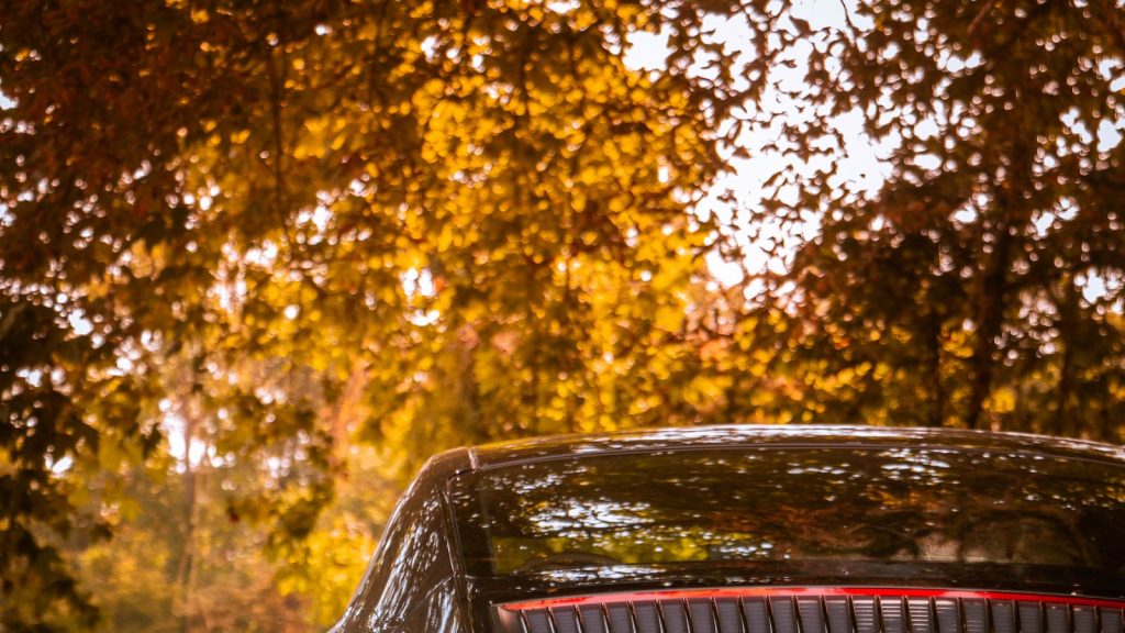 Mejores panes integrales