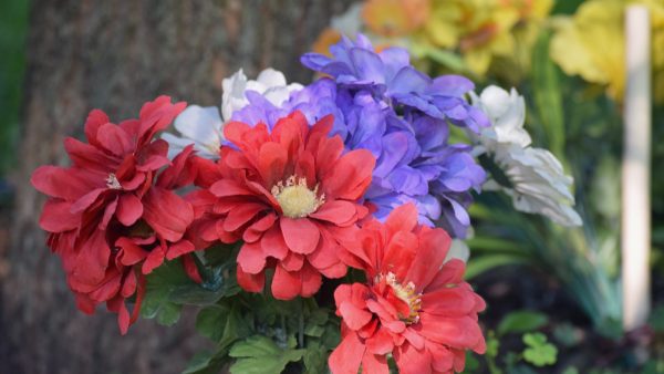 Agua de coco 1 litro