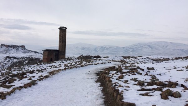 Te con anis estrellado