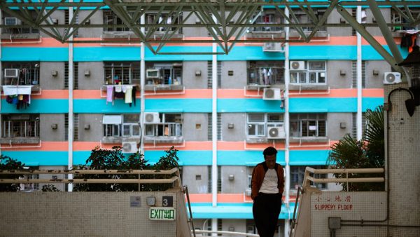 Anacardos tostados sin sal