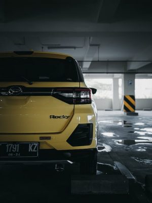 Polvo de raiz de loto