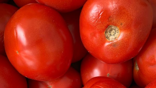 Recetas con harina de almortas