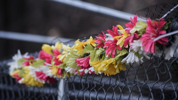 Sustituir vinagre de arroz