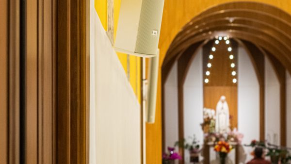 Almidon trigo sin gluten