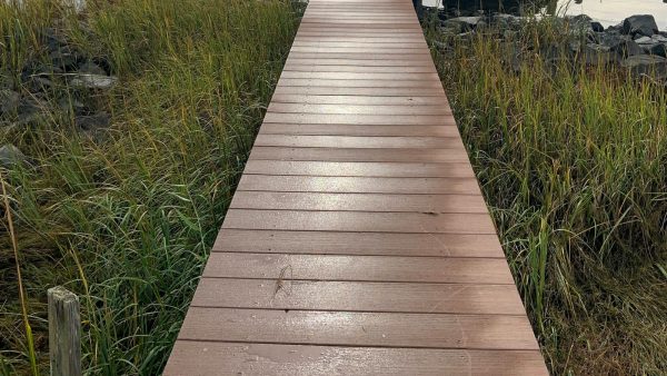 Que hacer con las cáscaras de pipas