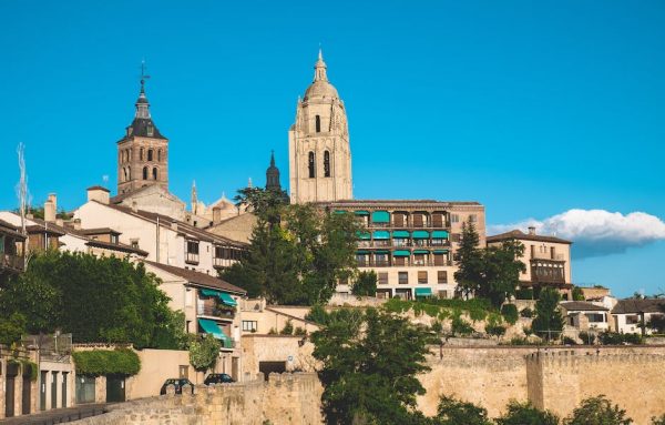 1. ¿Qué son las alubias de Segovia?