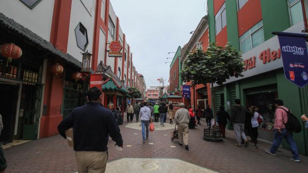 1. ¿Qué son los altramuces y por qué son importantes?