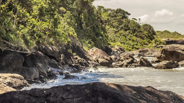 2. Características nutricionales de los Fesolets