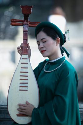 Pipas propiedades y contraindicaciones