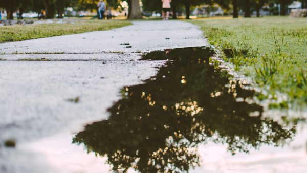 Bizcocho de harina de maiz