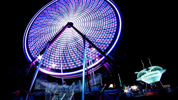 Manteca para reposteria