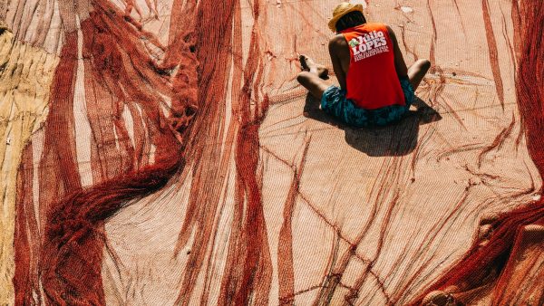 Propiedades del te verde sin teina