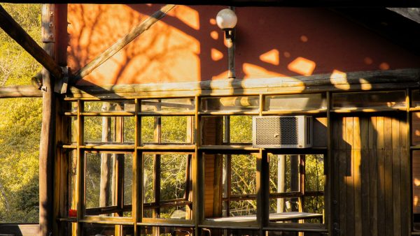 Altramuces ecologicos