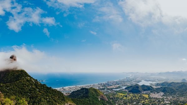 Propiedades del salvado de avena y contraindicaciones