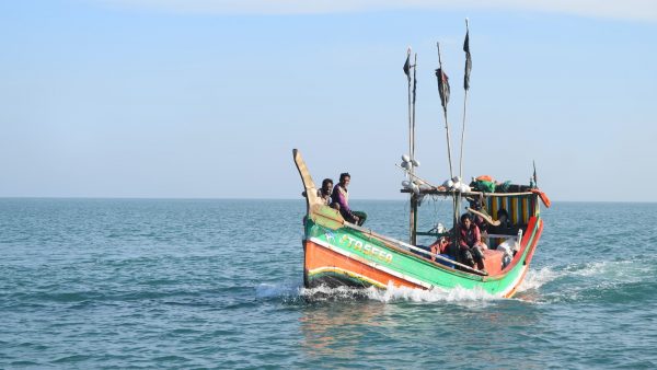 4. Las mejores infusiones para bajar los niveles de triglicéridos