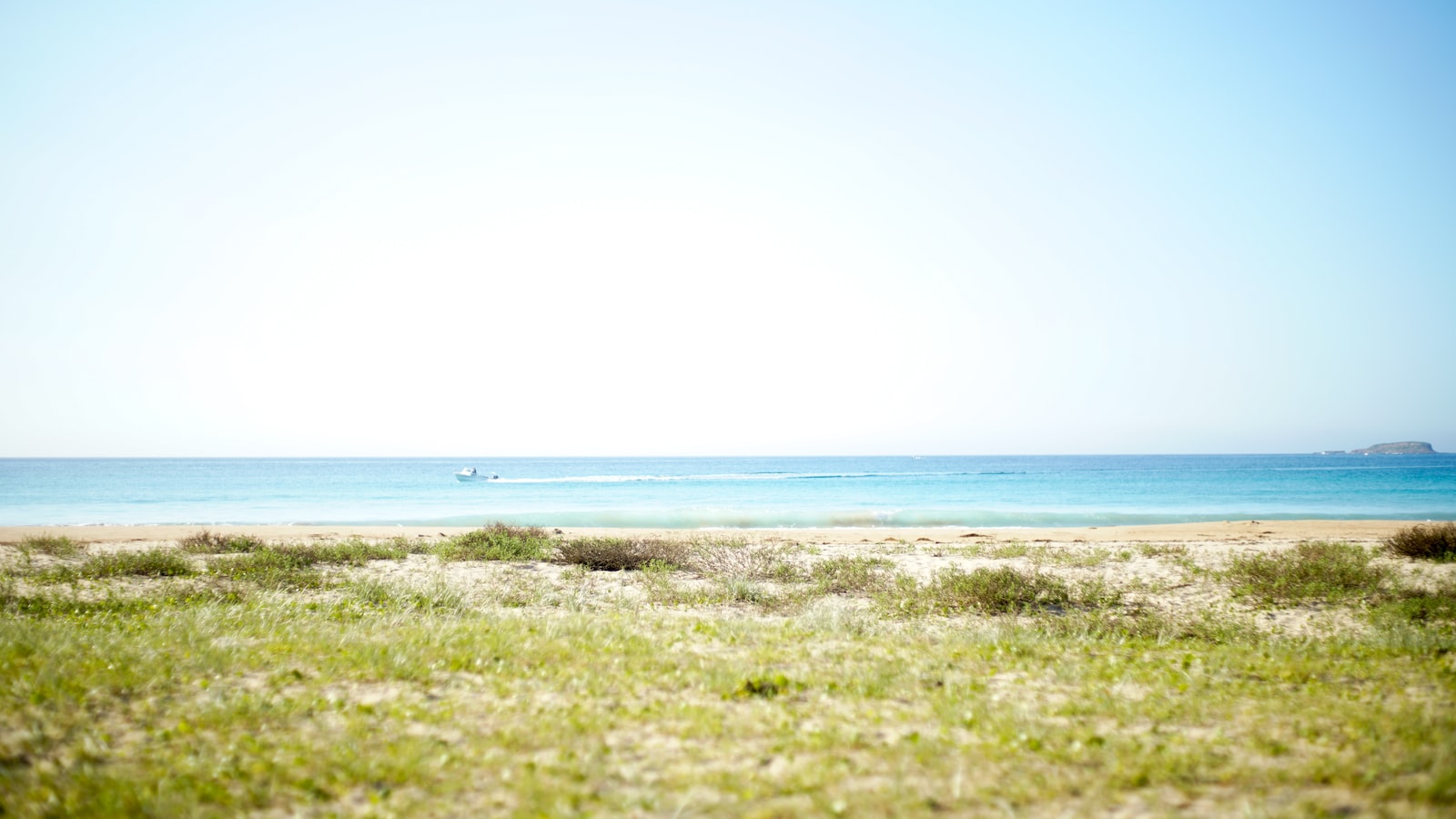 Durra