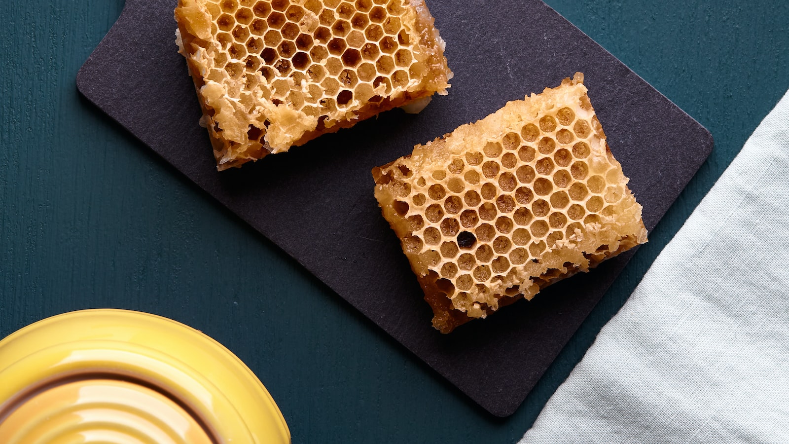 Nido abejas