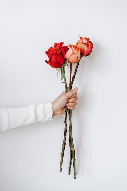 Petalos de rosa naturales
