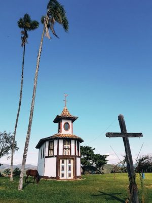 Te verde o rojo para adelgazar