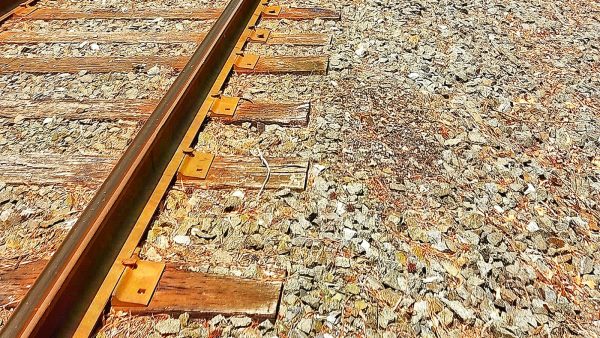 Se puede rebozar con harina de fuerza