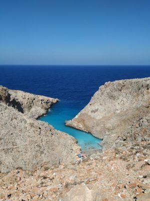 Como se hace el seitan