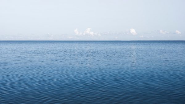 Papel para polvorones