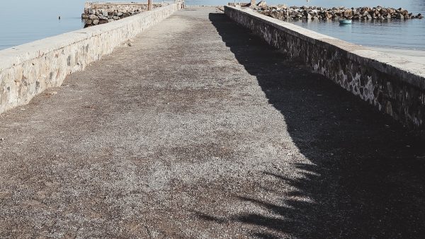 Beneficios de las almendras crudas con piel