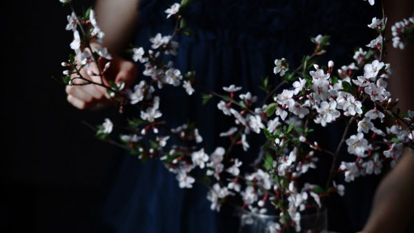 Plum cake de chocolate