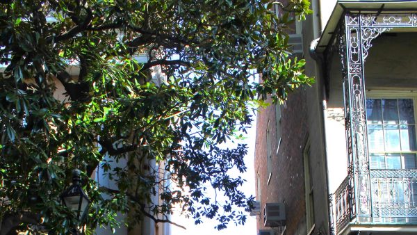 Pimenton de la vera de donde es