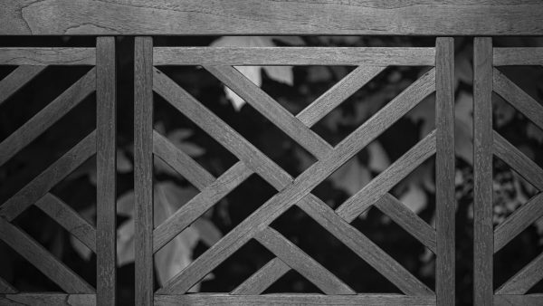 Mantequilla de cacahuete natural