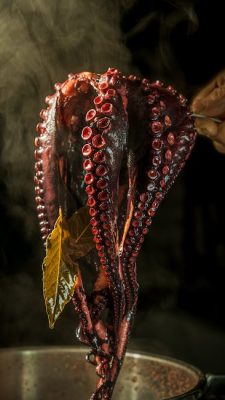 1. ¿Qué son las proteínas del arroz cocido?