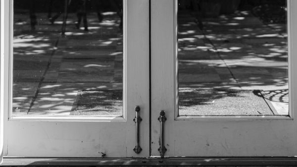 Alergia levadura de cerveza