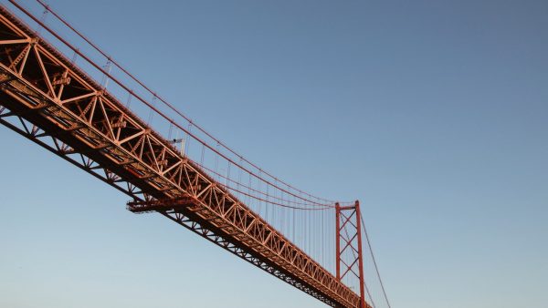 Pipas de girasol propiedades y contraindicaciones